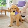 Flexible TPR Teeth Cleaning Toy Dog Cooling Chew Toy, Popsicle Ice Freezer Donut Shape Interactive Training Reusable Freeze for Summer Heat