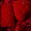 @ Valentinstag Rosenkerze Sojawachs Rote Farbe Packung mit 2 Stück 135g Zr-3008-60% Rabatt