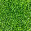 Aoke Artificial Grass for Landscaping & Sports