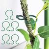 Garden Plant Clips Reusable Plant Support Clips for Climbing Plants Gentle Garden Vine Ties for Indoor Outdoor Gardening