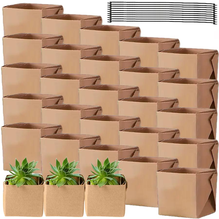 5-20 Stück 6 cm Kraftpapier Sukkulenten Topfpflanzen Box Innen Außen Universell Faltbar Hängende Topfpflanzen Box Gartenwerkzeuge
