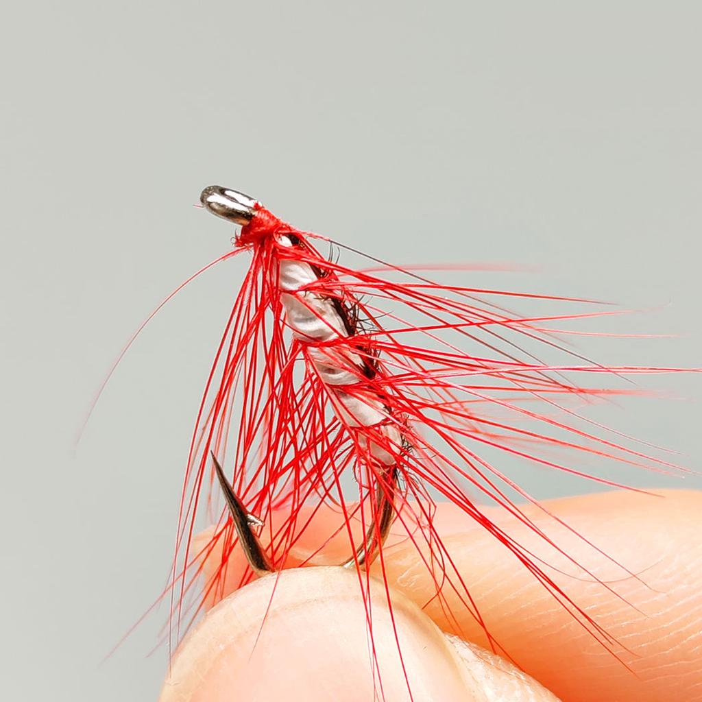 Fliegenfischen Fliegen 18 Stück - 2 Boxen Bundle 2 verschiedene Stile Nassfliegen Köder zum Fangen von Fischen wie Forelle/Barsch etc. in Süßwasser