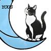 Decorative Hanging Ornament Acrylic Cat Pendant with Chain, Animal for Window Crescent Wall Decor, Cute Lover Gift Home Room Decoration Light