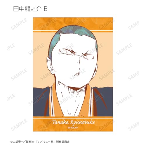 Armabianca Haikyu!! Trading Ani Art 1st Edition Bromide ver.A 12.7 x 8.9cm Paper Box of 18