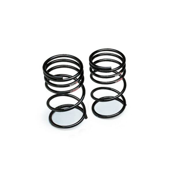 

Ti2000 Lowering Springs for Nissan NISMO March 2WD N009TDR RS-R (Rear Only)