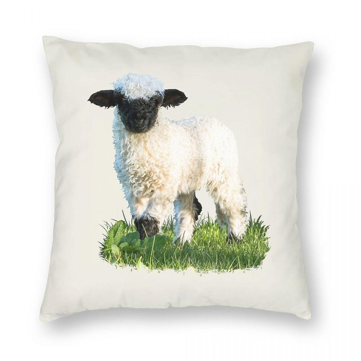 

Валийская черноголовая овца на лугу Квадратная наволочка Полиэстер Лен Бархат Креативная застежка-молния Наволочка для декоративной подушки Чехол для автомобильной подушки 30cmx30cm