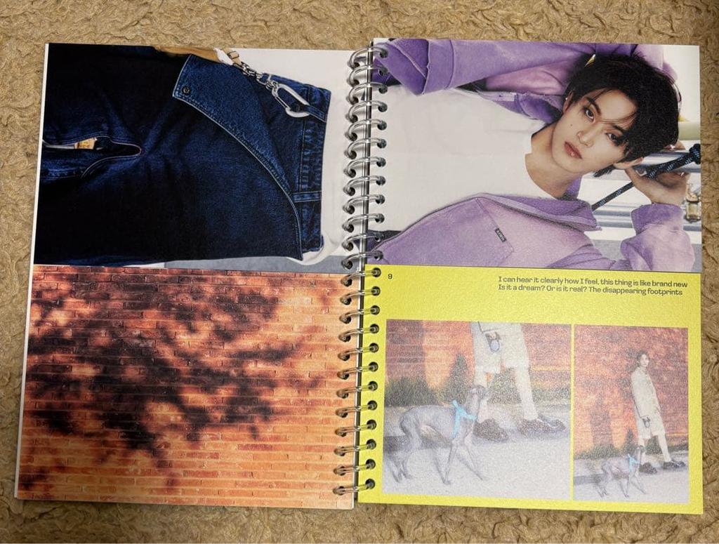 [USED] DREAMSCAPE MARK Ver.