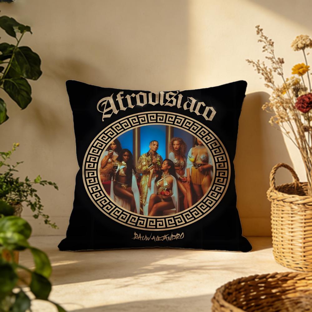 Popular RRauw Alejandroful Cushion Cover Versatile DoubleSided Pillow Case Fit for Sofa Bed Car Daily Decor