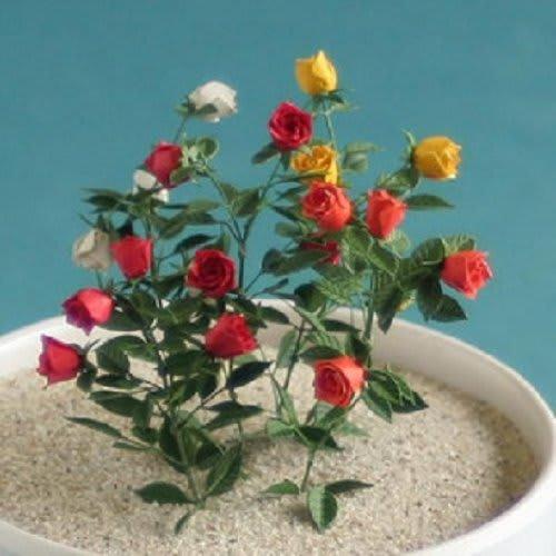Watako Table Garden Series 1/12 Rose