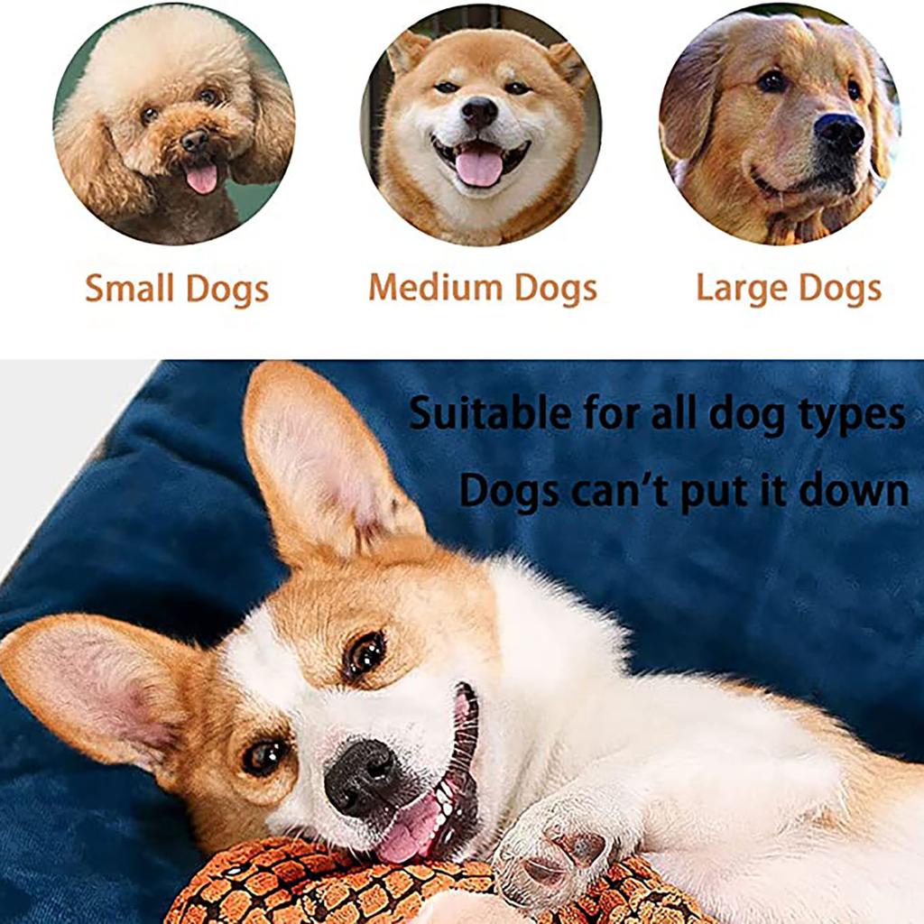 An Indestructible And Dinosaur, A Dog Toy Suitable For Aggressive Chewers, And A Squeaky Plush Dog Toy