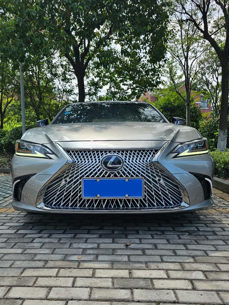 18-25 Lexus ES200/ES300h Exterior LS Grille Modification