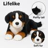 13-Zoll Berner Sennenhund Plüschtier - Super Realistische Simulationshundepuppe Weiches und Niedliches Haustierkissen Kindergeschenk Geburtstag C