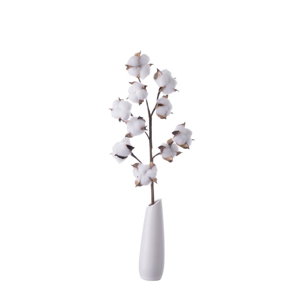 10-Head Natural Cotton Branches for Wedding Decoration Simulation Flowers Green Plants Handicrafts INS