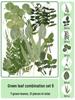 Handmade Transparent Bottle Embossing Film for Spring Plant Specimen Bookmarks