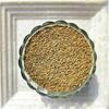Nairuti Vyutpadan Ajwain 200g | Pure & Aromatic Carom Seeds | Ideal for Digestion Cooking & Spices | Freshly Packed | 100% Natural Spice