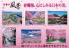 Jigsaw Puzzle Aim To Be a Puzzle Sanneizaka Kyoto 500-piece - Master! Sakura-scented - (38x53cm)