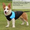 Dog Winter Jacket Autumn Winter Cute Stylish Thickened Hair   Pet Warm Clothes for Medium Large Dogs