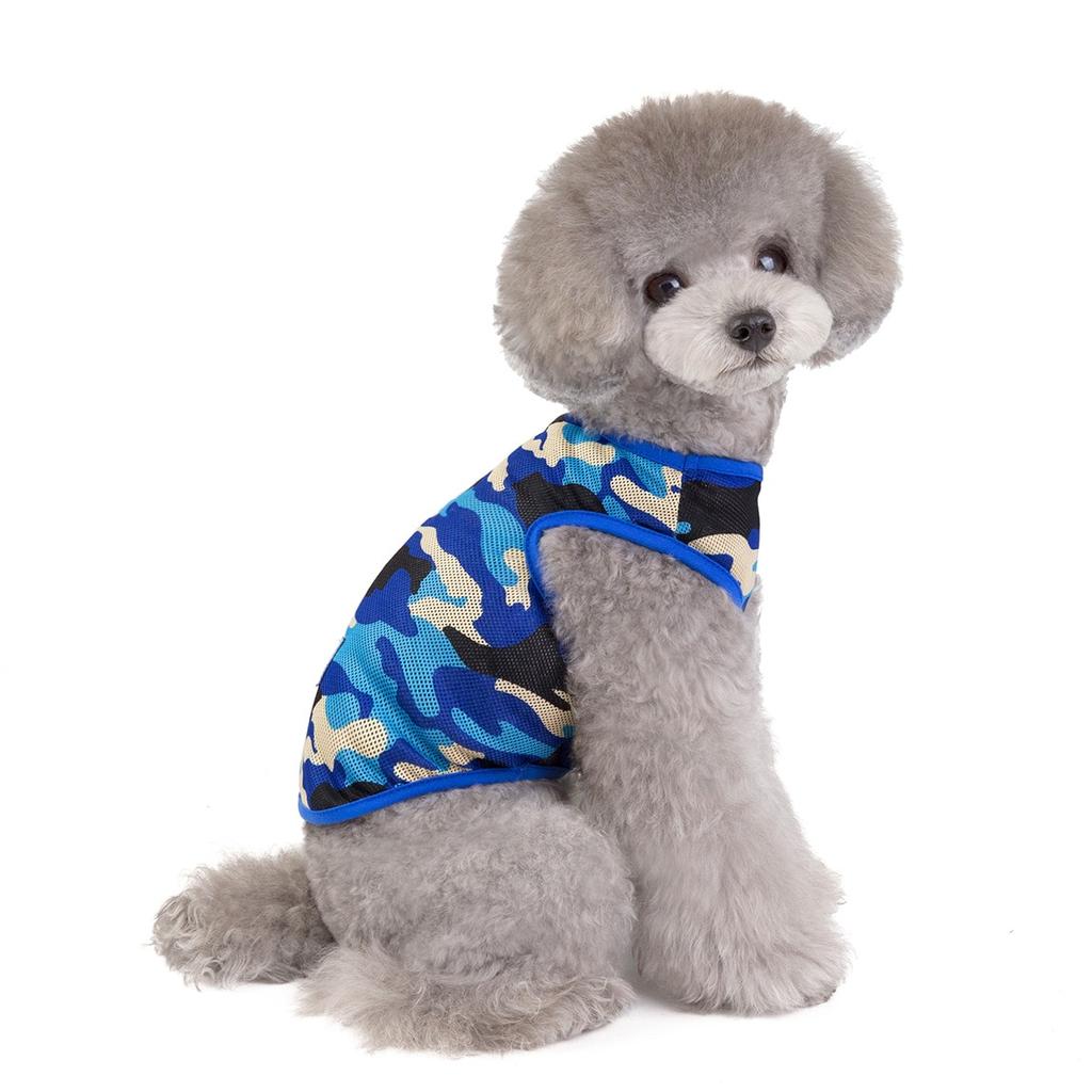 puppy summer clothes