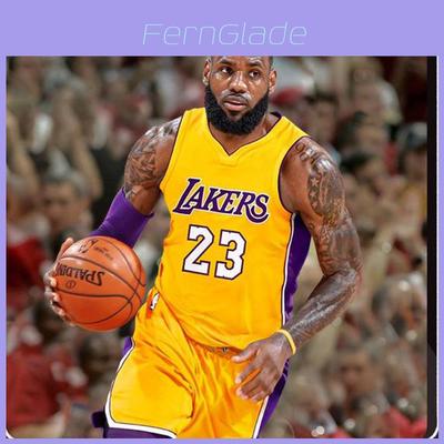 Tricou de baschet autentic Los Angeles Lakers Lebron James 23 Alb Albastru Galben