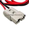 Double-Headed Anderson Connector Cable, 10AWG, 2.5m