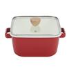 Passion Enamelware Deep Rectangular Pot, 20cm, IH Compatible, with Storage Seal Lid and Glass Lid, DW-5601