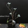 onigiri bento Sashimi Plate dish tray Decorative vase with flowers Sushi shop hotel Restaurant sea food decorations tree flower