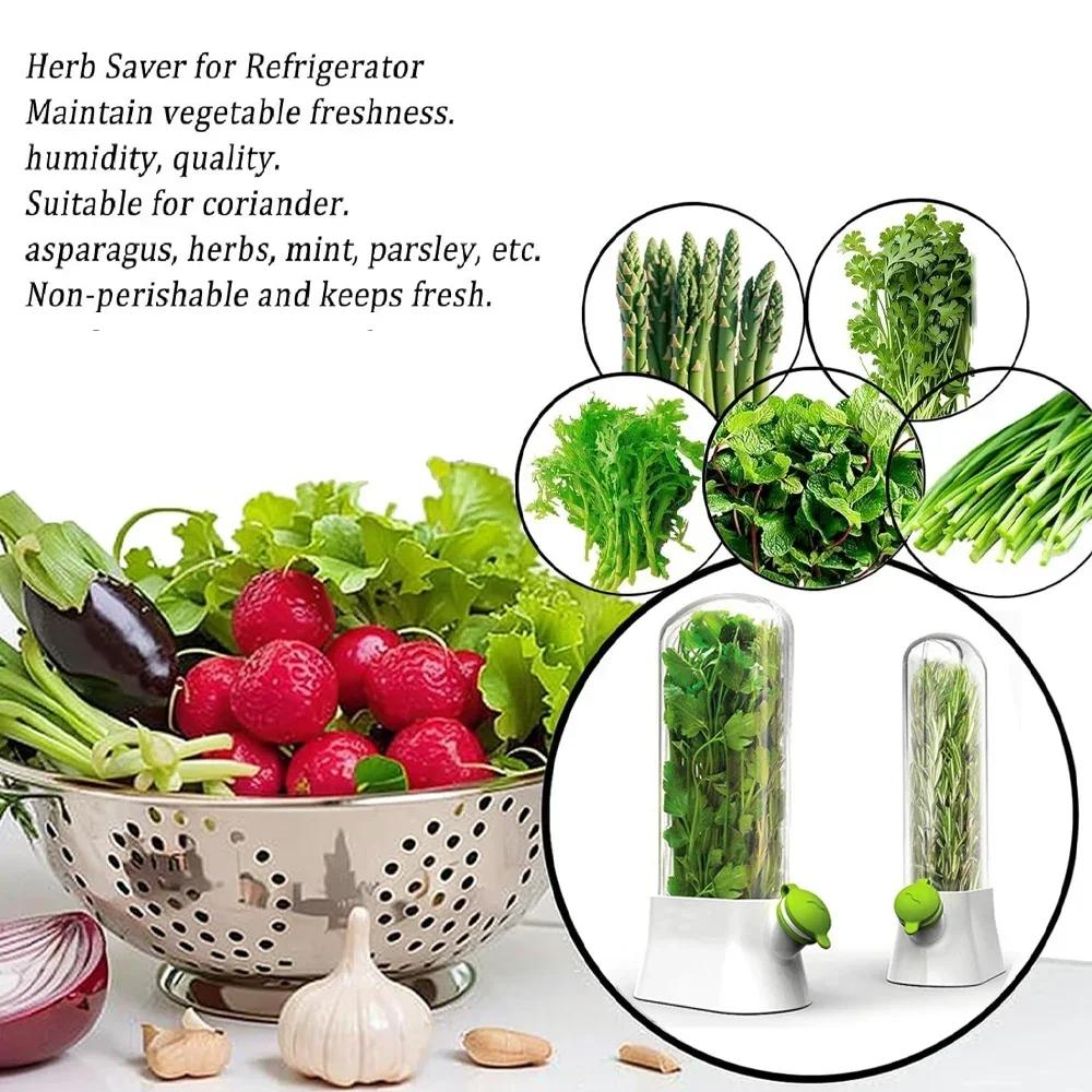 Herb Saver Storage Container Vegetable Preserving Bottle Fresh Herb Keeper for Kitchen Storing Cilantro Mint Parsley Asparagus