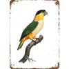 Vintage Tropical Tin Metal Sign 8x12 Retro Wall Art for Bar Cafe Home Decor