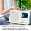 C10 DAB/DAB+ FM Digital Radio LED Speaker Portable Handsfree MP3 Music Player