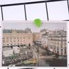 Resin Leaf Push Pins Leaf Shaped Pushpins New Plant Thumb Tacks  Photo Wall