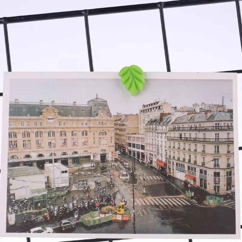 Resin Leaf Push Pins Leaf Shaped Pushpins New Plant Thumb Tacks  Photo Wall