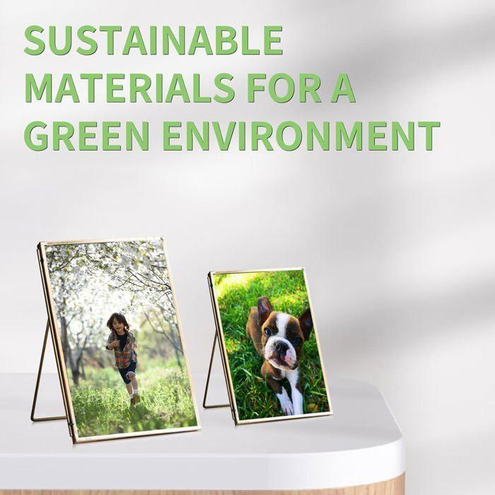 Cartouches d'encre - ZUUKO - 29XL - Compatibles Epson - Lot de 10 - Impression jusqu'à 500 pages