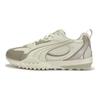 Blktop Rider V2 Unisex Low Top Casual Shoes White And Coffee 406318-01