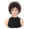 Synthetic Braided Wig for Women Locs Crochet Twist Hair Short Afro Ladies Dreadlock Light Brown Daily Curly Cool Girls