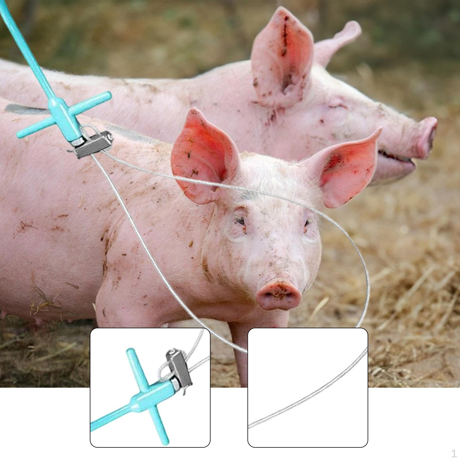 

Pig Catching Pole Control Tool Versatile Livestock Supplies Animal Holder Get Tooladjustable Loop синий