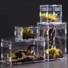 Klare Lebensraumbox für kleine Reptilien Tiere, Beobachtungsfenster Acrylgehege Belüftetes Design mit seitlichen und oberen Luftöffnungen
