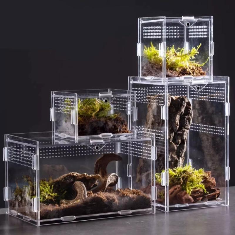 Klare Lebensraumbox für kleine Reptilien Tiere, Beobachtungsfenster Acrylgehege Belüftetes Design mit seitlichen und oberen Luftöffnungen