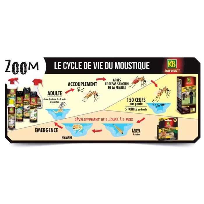 2 Pièges À Moustiques Et Moustiques Tigres