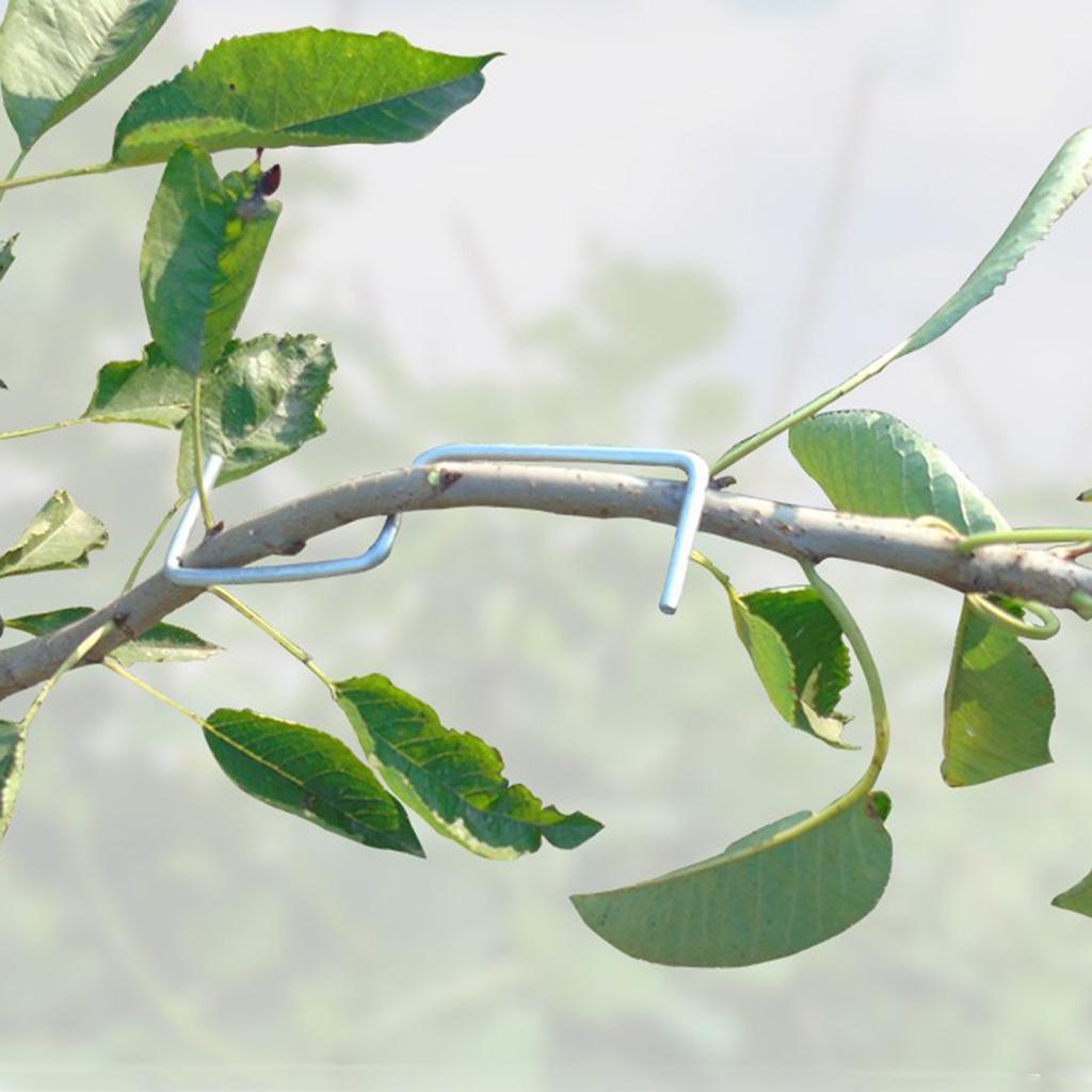 12cps, Obstbaum-Astformer, Astaufhänger-Abzieher, zum Formen von Obstbaumzweigen, Astbiegewerkzeug