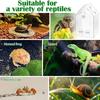 Clear Jumping Spider Enclosure Acrylic Tarantula Terrarium with Feeding Port and Ventilation Holes Small Reptile Feeding Box