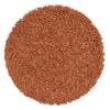 Té de Trigo Sarraceno Tártaro Soba Cha - 50G Soporte Natural Para Tu Salud