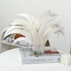 Natural Rooster Tail Feathers for DIY Clothing Accessories, Handmade Props & Tassels