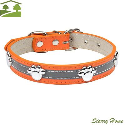 Hunde – Hundehalsbänder & Leinen