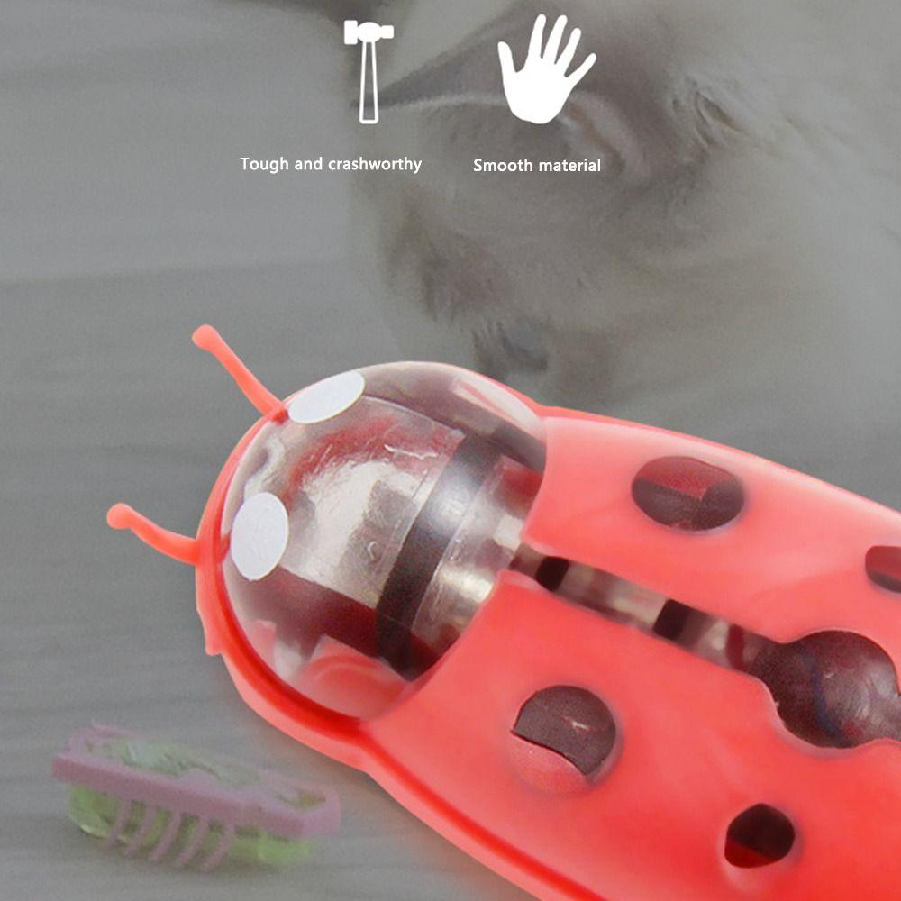 2pz Cane Giocando a Batteria Giocattoli Scarabeo per Animali Domestici Forniture per Animali Domestici Giocattoli Interattivi per Animali Domestici Giocattolo Elettrico Insetto