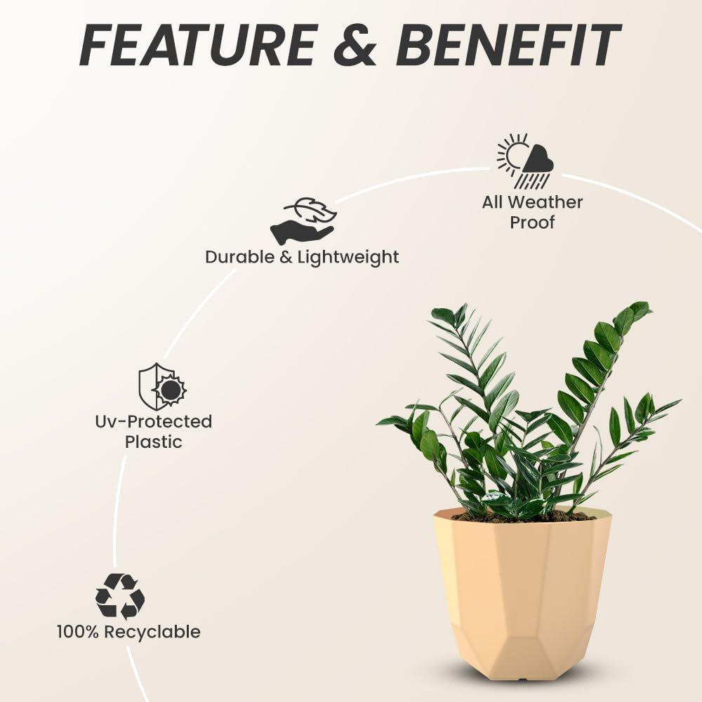 Hexa Plastic Flower Pot with Drainage Holes Round Planter Pot Suitable for Indoor Outdoor Kitchen Garden (Beige, 6 INCH - 3 Pcs)