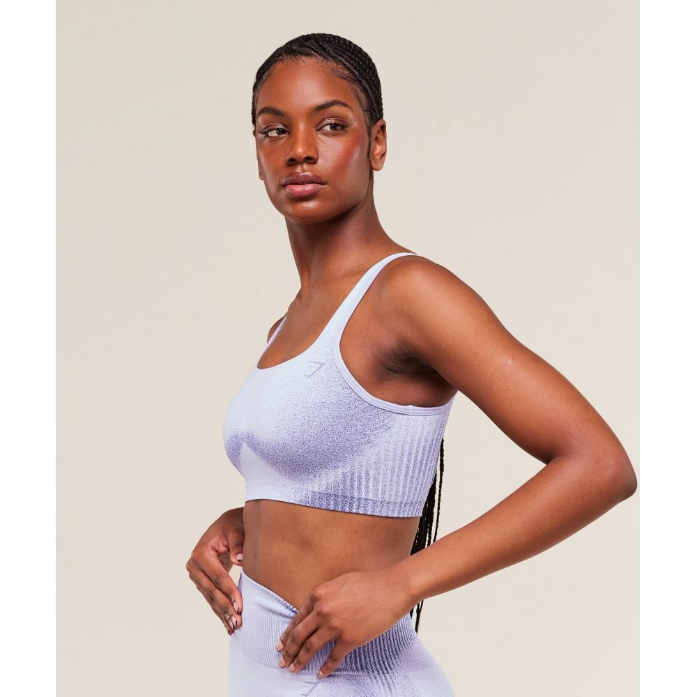 Gymshark Diffuse Seamless Sports Bra Fresh Lilac Cobalt Purple B3b3h Pb9j