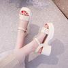 One-word buckle with platform sandals female 2025 summer new beautiful beach seaside fairy wind heightened beach Roman shoes