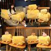 Plush Nap Cheese Throw Pillow Multifunctional Soft Cushion Home Gifts Decoration