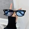 Classic Square Sunglasses Women Men Minimalist Fashion Female Male Retro Casual