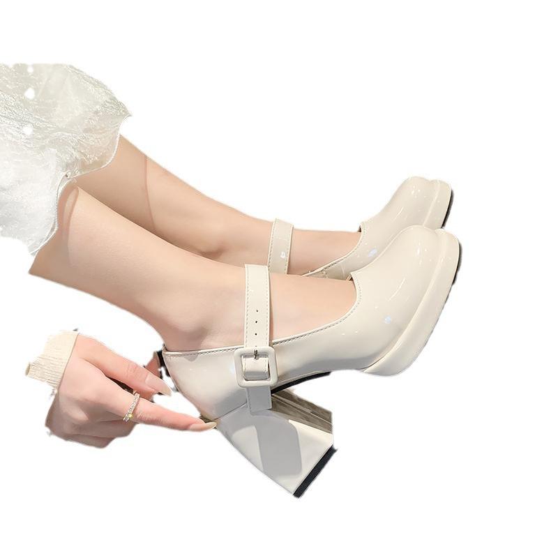 French Mary Jane Shoes Women's 2025 New Thick Heel Single Shoes Black Spice Girl High Heels Barbie Round Head Small Leather Shoes